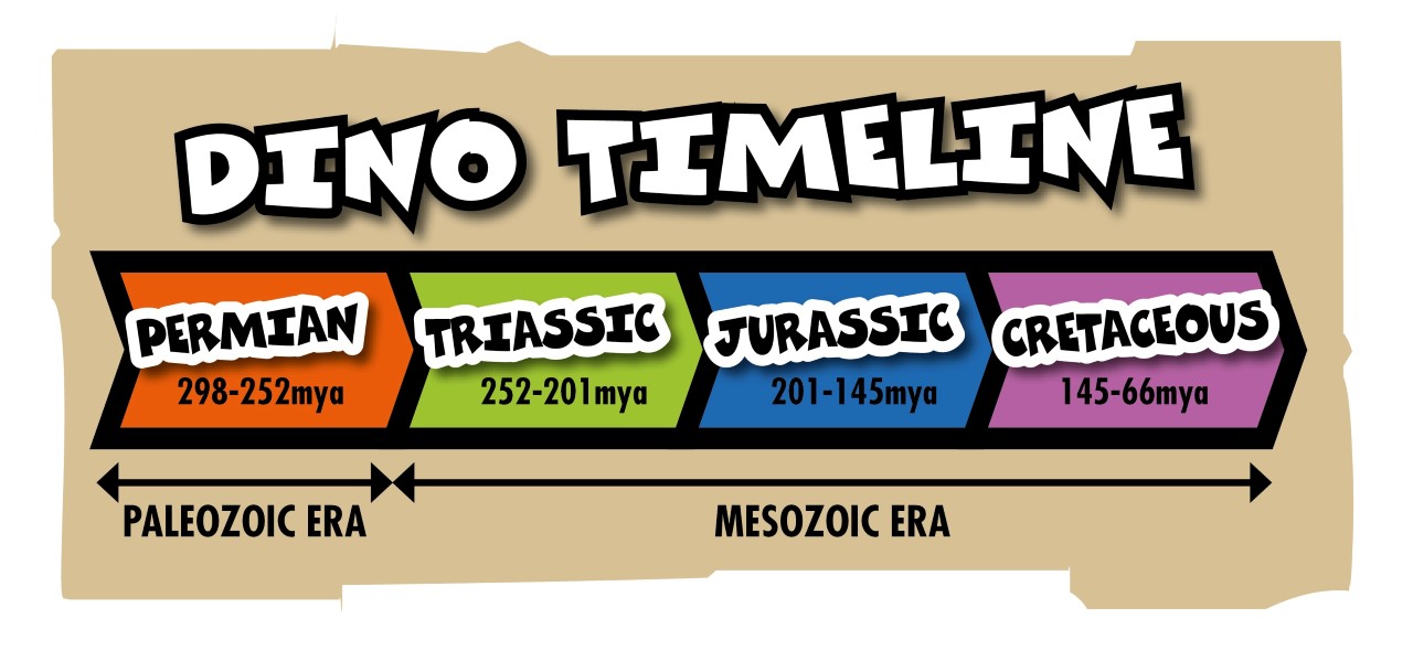 dinosaur time chart