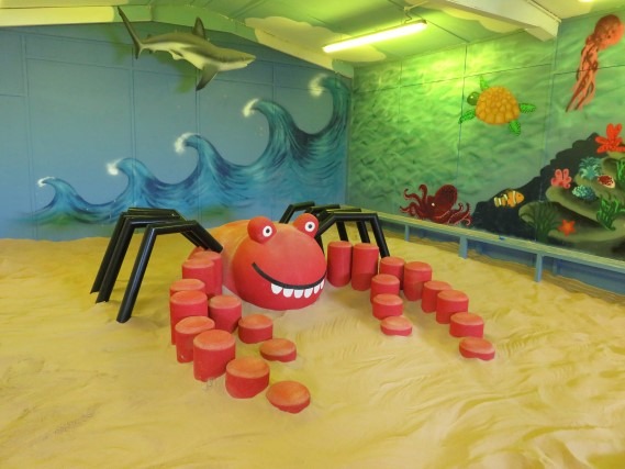 Indoor Beach | Attractions | All Things Wild