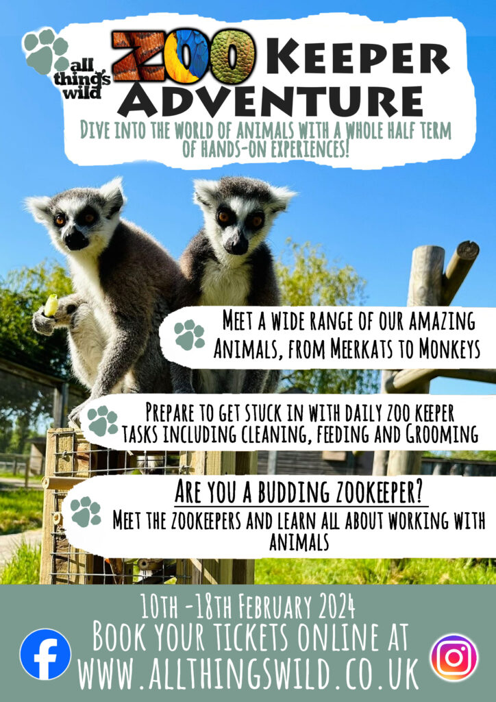 All Things Wild's Zookeeper Adventure! | All Things Wild | Honeybourne ...